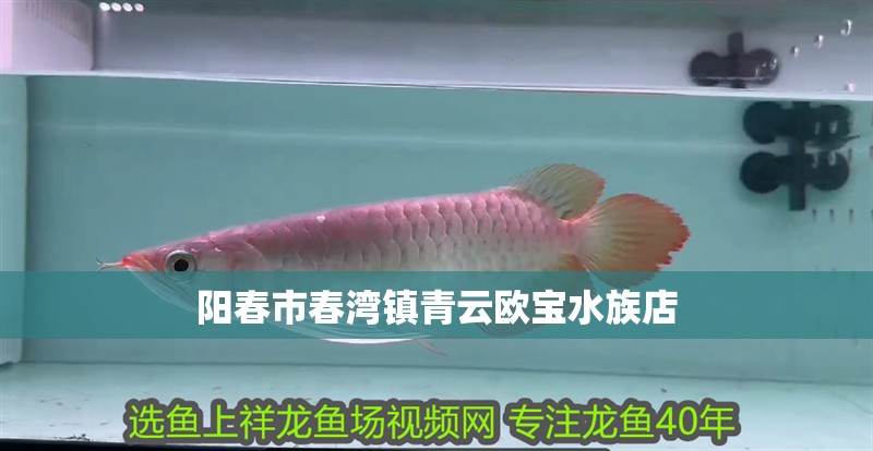 陽春市春灣鎮青云歐寶水族店