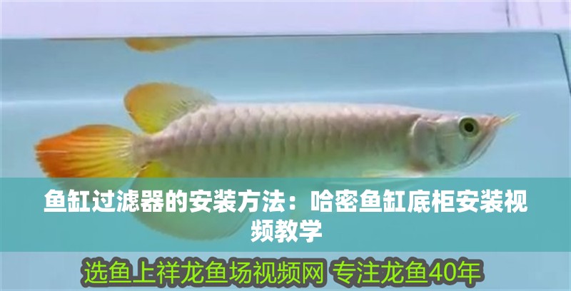 魚缸過濾器的安裝方法：哈密魚缸底柜安裝視頻教學