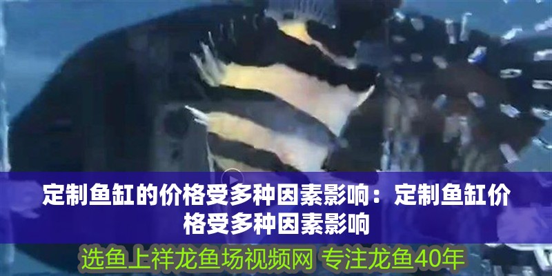 定制魚缸的價(jià)格受多種因素影響：定制魚缸價(jià)格受多種因素影響