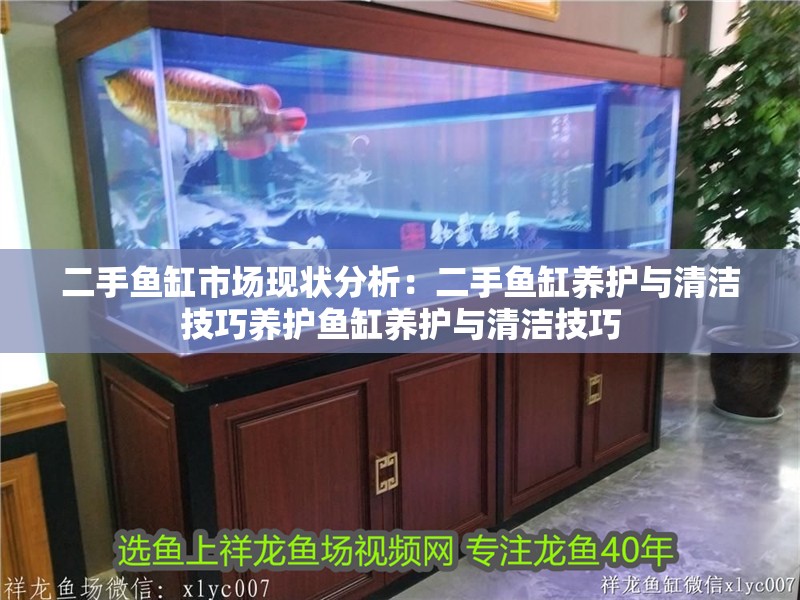 二手魚缸市場現狀分析：二手魚缸養護與清潔技巧養護魚缸養護與清潔技巧 二手魚缸市場現狀分析：二手魚缸養護與清潔技巧養護魚缸養護與清潔技巧 魚缸百科