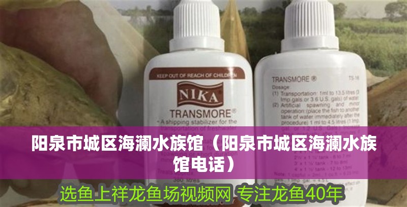 魚缸過濾器選購指南:自制魚缸過濾器魚缸上置過濾器對于養魚愛好者的必備知識 陽泉市城區海瀾水族館(陽泉市城區海瀾水族館電話) 全國水族館企業名錄 陽泉市城區海瀾水族館(陽泉市城區海瀾水族館電話) 陽泉市城區海瀾水族館(陽泉市城區海瀾水族館電話) 全國水族館企業名錄