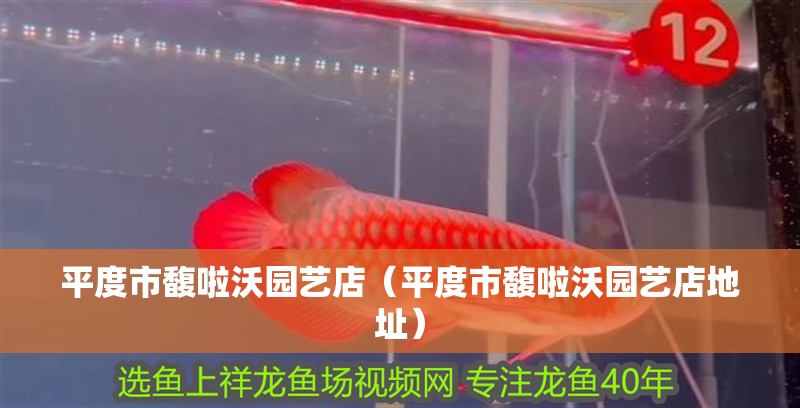 <strong><mark>平度</mark></strong>市馥啦沃園藝店（<strong><mark>平度</mark></strong>市馥啦沃園藝店地址）