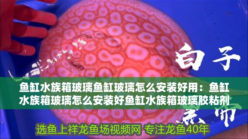 魚缸水族箱玻璃魚缸玻璃怎么安裝好用：魚缸水族箱玻璃怎么安裝好魚缸水族箱玻璃膠粘劑安裝