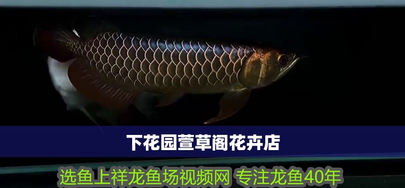 下花園萱草閣花卉店