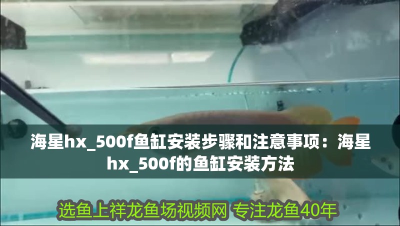 海星hx_500f魚(yú)缸安裝步驟和注意事項(xiàng)：海星hx_500f的魚(yú)缸安裝方法