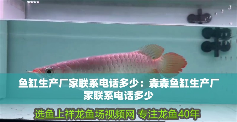魚(yú)缸生產(chǎn)廠(chǎng)家聯(lián)系電話(huà)多少：森森魚(yú)缸生產(chǎn)廠(chǎng)家聯(lián)系電話(huà)多少 魚(yú)缸生產(chǎn)廠(chǎng)家聯(lián)系電話(huà)多少：森森魚(yú)缸生產(chǎn)廠(chǎng)家聯(lián)系電話(huà)多少 魚(yú)缸百科