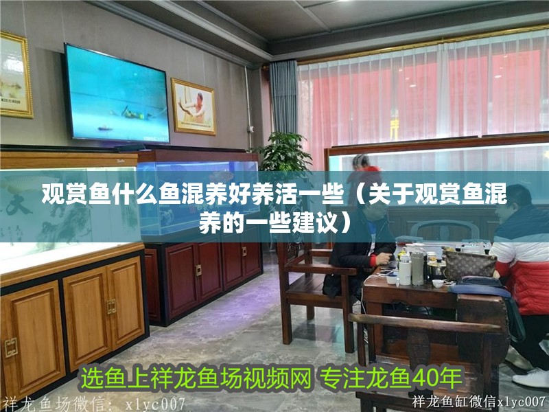 觀賞魚(yú)什么魚(yú)混養(yǎng)好養(yǎng)活一些（關(guān)于觀賞魚(yú)混養(yǎng)的一些建議） 觀賞魚(yú)什么魚(yú)混養(yǎng)好養(yǎng)活一些（關(guān)于觀賞魚(yú)混養(yǎng)的一些建議） 魚(yú)缸百科