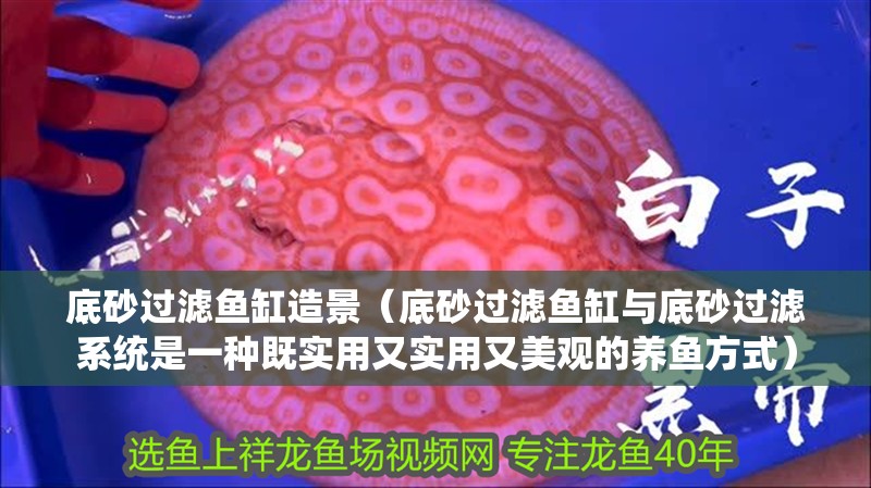 底砂過濾魚缸造景（底砂過濾魚缸與底砂過濾系統是一種既實用又實用又美觀的養魚方式） 底砂過濾魚缸造景（底砂過濾魚缸與底砂過濾系統是一種既實用又實用又美觀的養魚方式） 魚缸百科