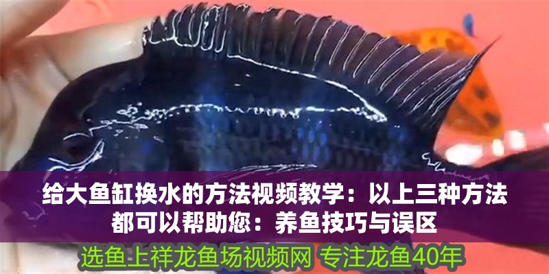 給大魚(yú)缸換水的方法視頻教學(xué)：以上三種方法都可以幫助您：養(yǎng)魚(yú)技巧與誤區(qū)