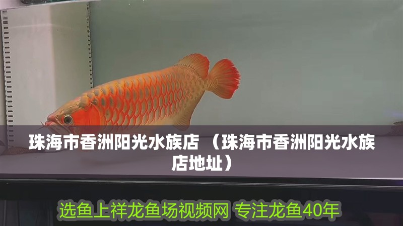 珠海市香洲陽光水族店 （珠海市香洲陽光水族店地址）