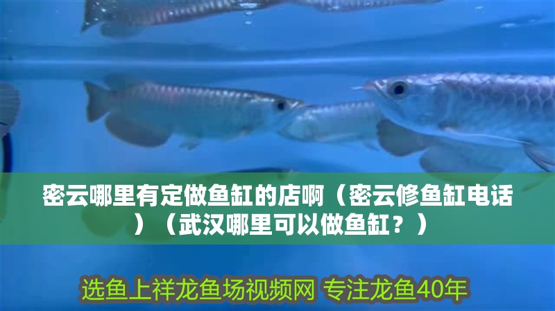 <strong><mark>密云</mark></strong>哪里有定做魚缸的店?。?strong><mark>密云</mark></strong>修魚缸電話）（武漢哪里可以做魚缸？）