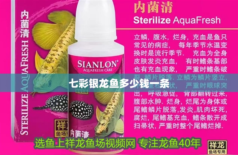 七彩銀龍魚多少錢一條