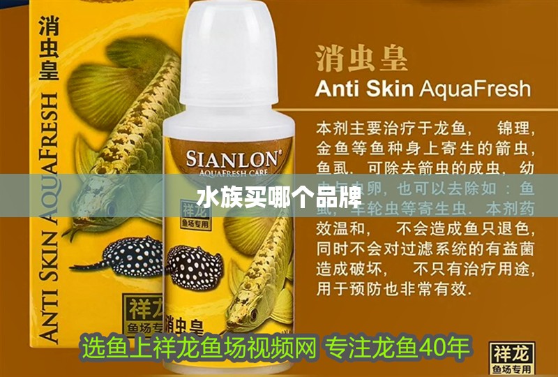 魚缸造景先放沙還是先放水(魚缸造景先鋪沙還是先放石頭) 水族買哪個品牌 龍魚論壇 水族買哪個品牌 水族買哪個品牌 龍魚論壇