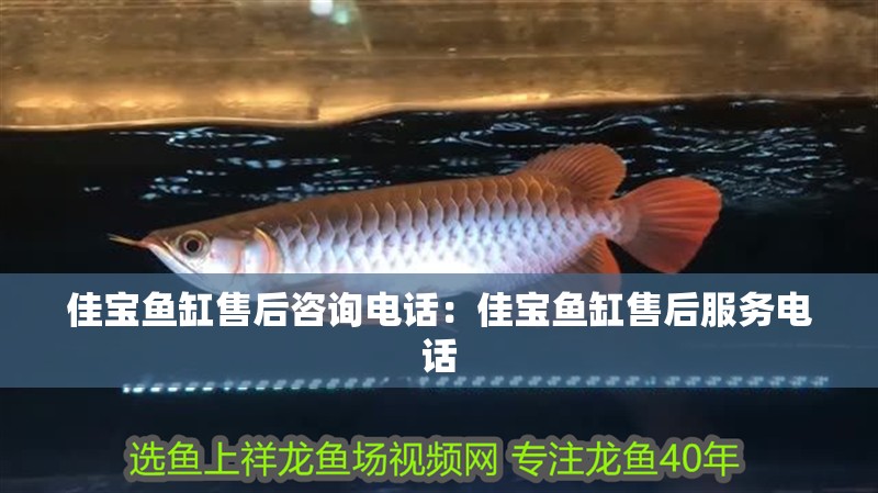魚缸用增氧泵價格是多少:魚缸增氧機-xtrac增氧機-xtrac增氧機 佳寶魚缸售后咨詢電話:佳寶魚缸售后服務電話 魚缸百科 佳寶魚缸售后咨詢電話:佳寶魚缸售后服務電話 佳寶魚缸售后咨詢電話:佳寶魚缸售后服務電話 魚缸百科