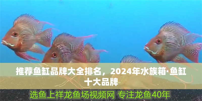 推薦魚缸品牌大全排名，2024年水族箱·魚缸十大品牌