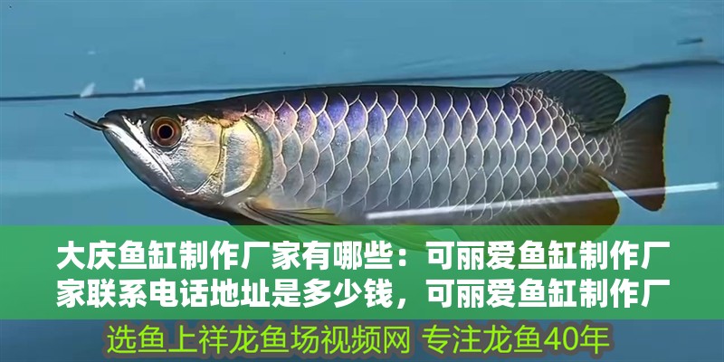 大慶魚缸制作廠家有哪些：可麗愛魚缸制作廠家聯系電話地址是多少錢，可麗愛魚缸制作廠家