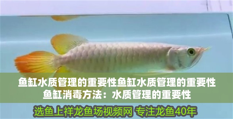魚缸水質管理的重要性魚缸水質管理的重要性魚缸消毒方法：水質管理的重要性