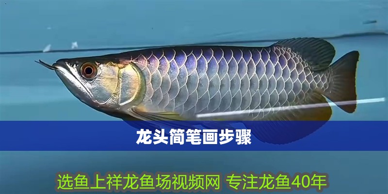 龍頭簡(jiǎn)筆畫步驟