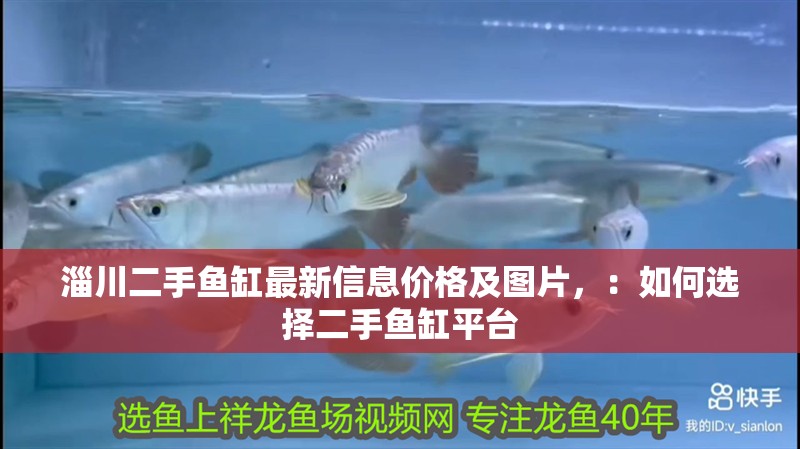 淄川二手魚缸最新信息價格及圖片，：如何選擇二手魚缸平臺 淄川二手魚缸最新信息價格及圖片，：如何選擇二手魚缸平臺 魚缸百科