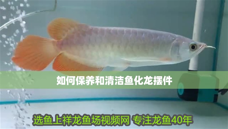 如何保養和清潔魚化龍擺件