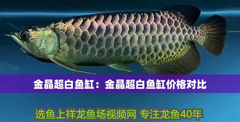 金晶超白魚(yú)缸：金晶超白魚(yú)缸價(jià)格對(duì)比