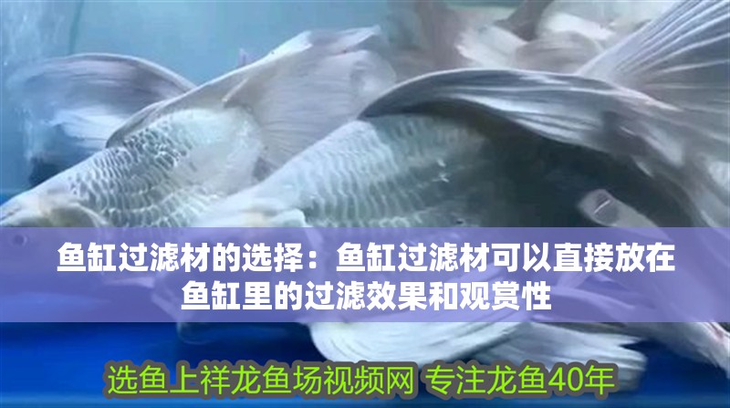 魚缸過濾材的選擇：魚缸過濾材可以直接放在魚缸里的過濾效果和觀賞性