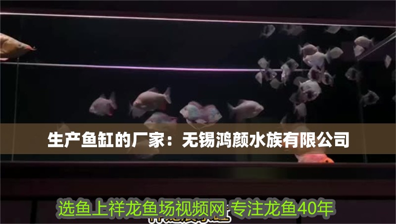 生產魚缸的廠家：無錫鴻顏水族有限公司