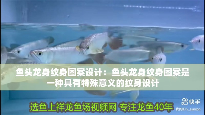 魚頭龍身紋身圖案設計：魚頭龍身紋身圖案是一種具有特殊意義的紋身設計