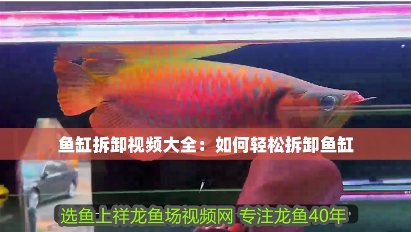 給大魚缸換水的作文:體驗給大魚缸換水的樂趣:體驗給大魚缸換水:給大魚缸換水的作文 魚缸拆卸視頻大全:如何輕松拆卸魚缸 魚缸百科 魚缸拆卸視頻大全:如何輕松拆卸魚缸 魚缸拆卸視頻大全:如何輕松拆卸魚缸 魚缸百科