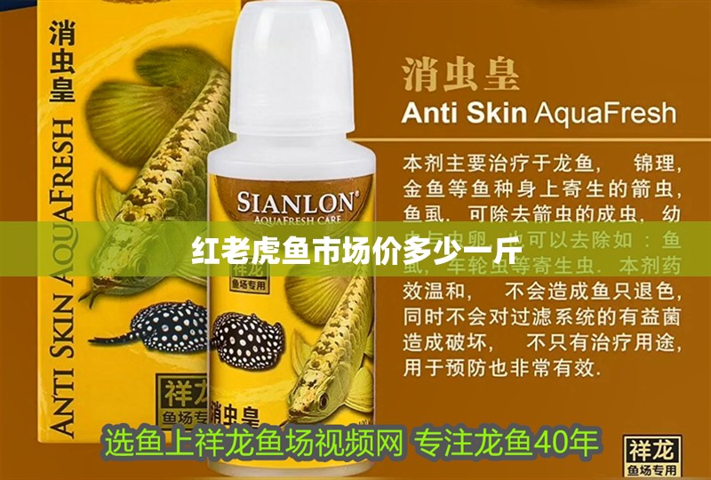 紅老虎魚市場價多少一斤