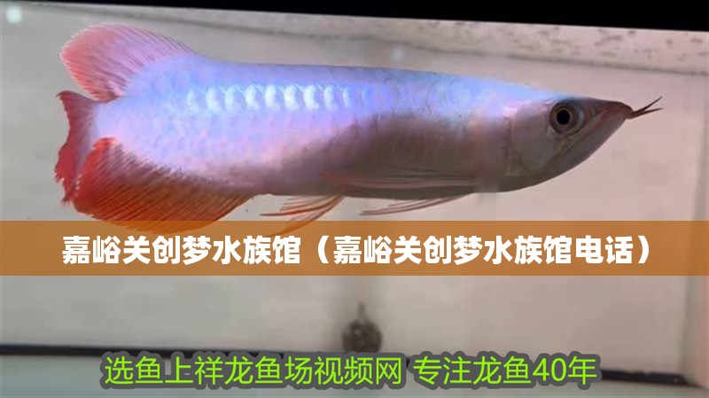 嘉峪關(guān)創(chuàng)夢(mèng)水族館（嘉峪關(guān)創(chuàng)夢(mèng)水族館電話）