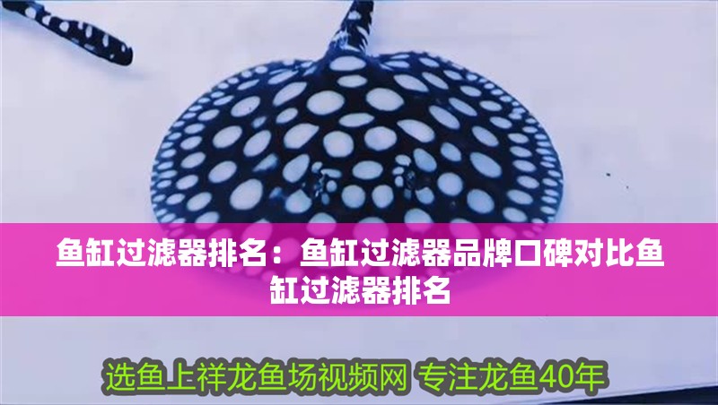 魚缸過濾器排名：魚缸過濾器品牌口碑對比魚缸過濾器排名