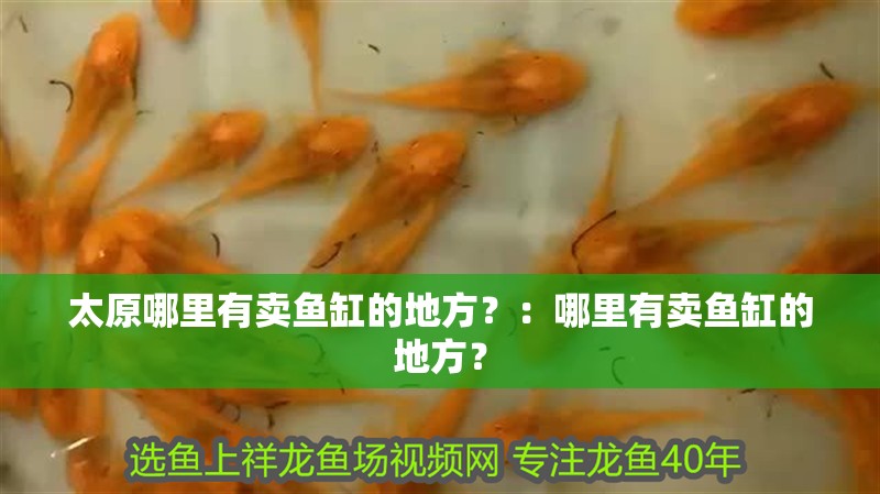 太原哪里有賣魚缸的地方？：哪里有賣魚缸的地方？ 太原哪里有賣魚缸的地方？：哪里有賣魚缸的地方？ 魚缸百科