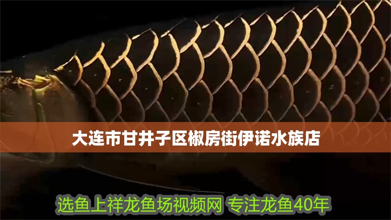 大連市甘井子區椒房街伊諾水族店