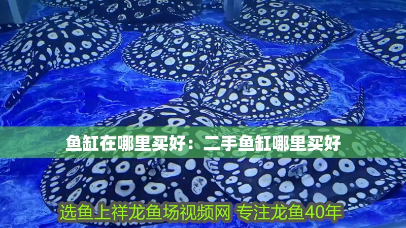 魚缸在哪里買好：二手魚缸哪里買好