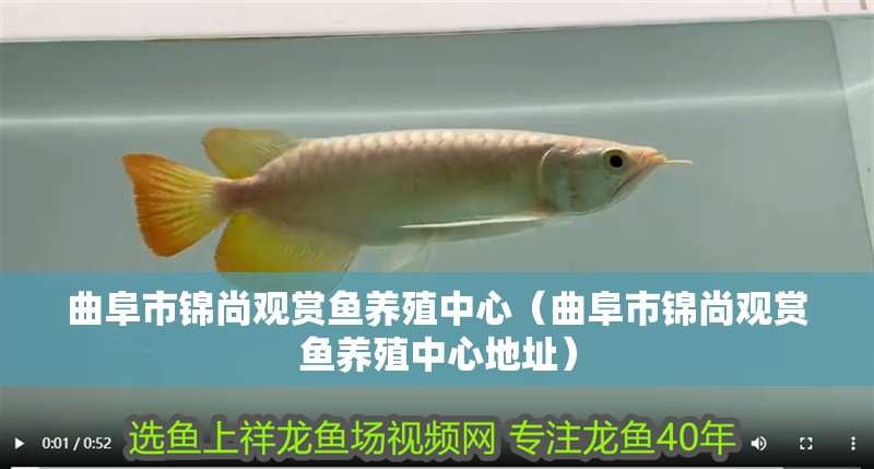 曲阜市錦尚觀賞魚養(yǎng)殖中心（曲阜市錦尚觀賞魚養(yǎng)殖中心地址）