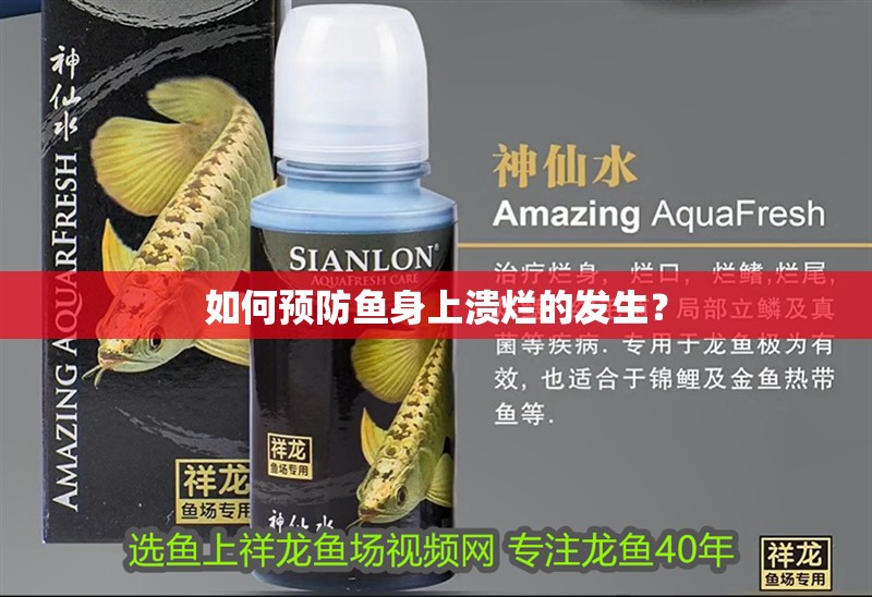 如何預防魚身上潰爛的發生？