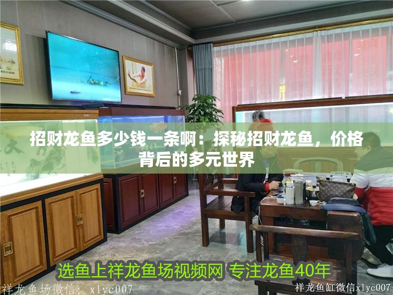 招財龍魚多少錢一條?。禾矫卣胸旪堲~，價格背后的多元世界