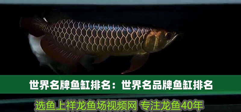 世界名牌魚缸排名：世界名品牌魚缸排名