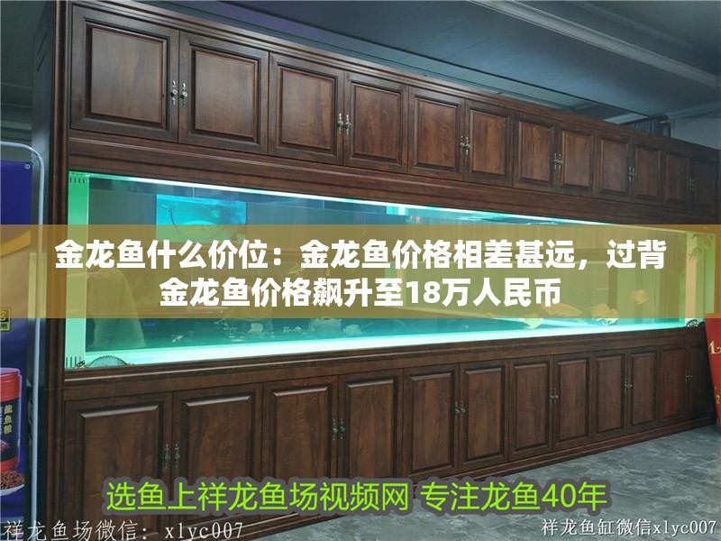 金龍魚什么價位：金龍魚價格相差甚遠，過背金龍魚價格飆升至18萬人民幣