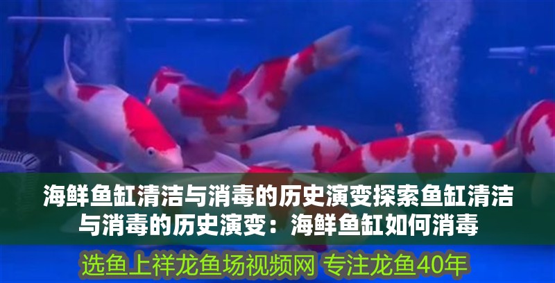 海鮮魚缸清潔與消毒的歷史演變探索魚缸清潔與消毒的歷史演變：海鮮魚缸如何消毒