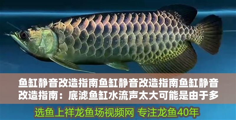魚缸靜音改造指南魚缸靜音改造指南魚缸靜音改造指南：底濾魚缸水流聲太大可能是由于多種因素引起的