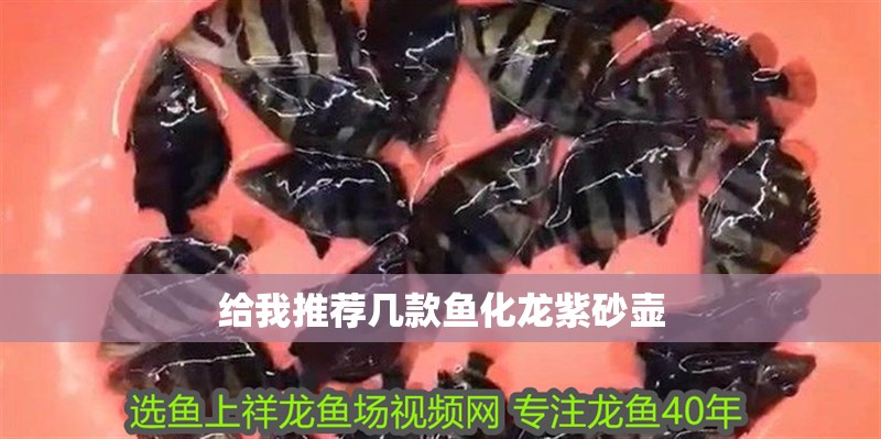 給我推薦幾款魚化龍紫砂壺