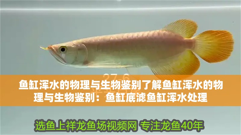 魚缸渾水的物理與生物鑒別了解魚缸渾水的物理與生物鑒別：魚缸底濾魚缸渾水處理