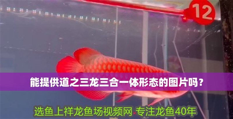 能提供道之三龍三合一體形態的圖片嗎？