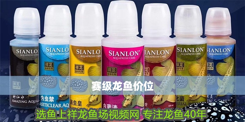 賽級龍魚價(jià)位