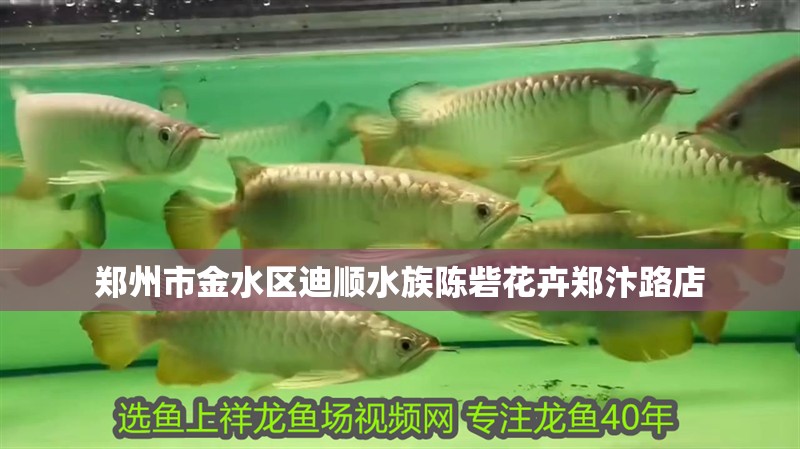 鄭州市金水區迪順水族陳砦花卉鄭汴路店 鄭州市金水區迪順水族陳砦花卉鄭汴路店 全國水族館企業名錄