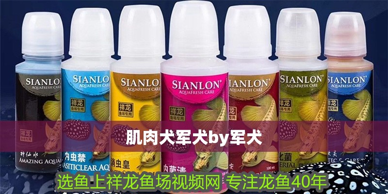 肌肉犬軍犬by軍犬