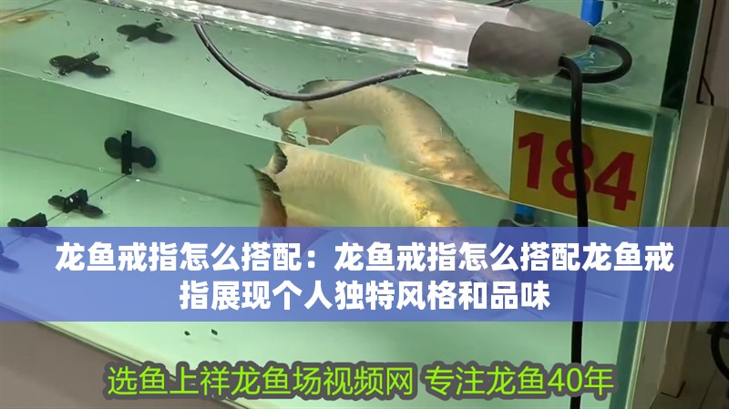 龍魚戒指怎么搭配：龍魚戒指怎么搭配龍魚戒指展現(xiàn)個人獨特風格和品味