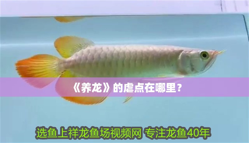 《養龍》的虐點在哪里？
